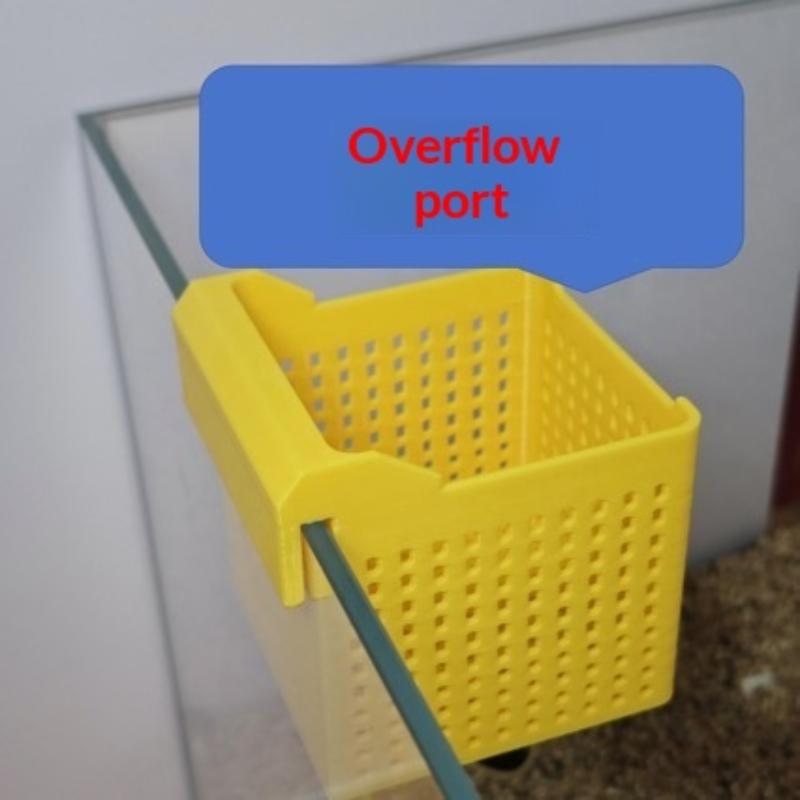 Box Fish In Aquarium - Novo Dispensador de Troca de Água