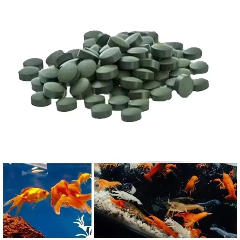 Aquarium Fish Holiday Food - 100-3000 unidades de comprimidos de spirulina