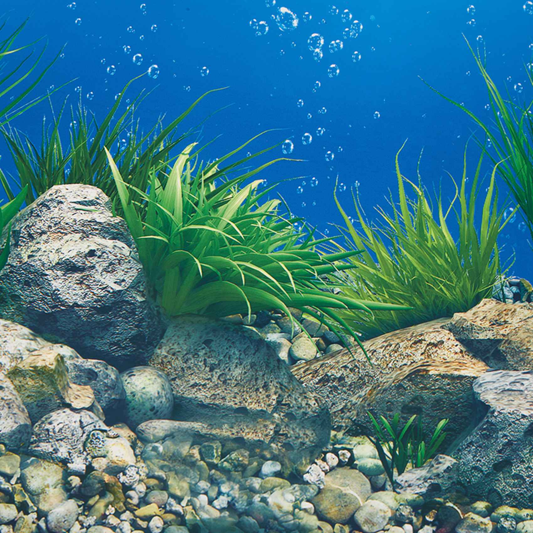 Aquarium Fish Wallpaper Hd - AB33-fundo de aquário papel hd imagem