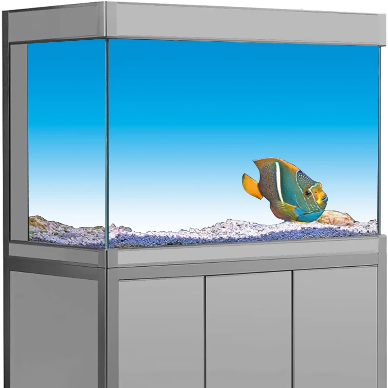 Aquarium Fish Wallpaper Hd - Adesivo de fundo de aquário, transição