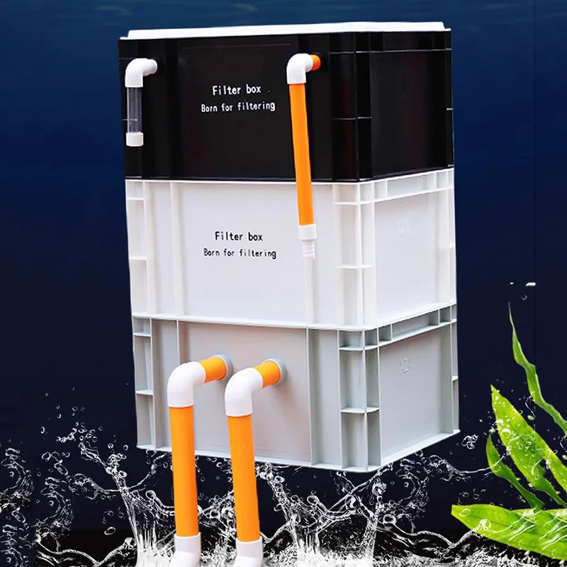 Box Fish In Aquarium - Filtros Externos para Aquários e Lagos