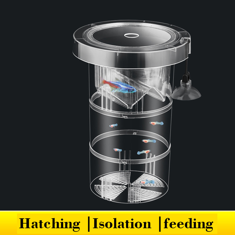 Box Fish In Aquarium - Caixa de isolamento flutuante para criação