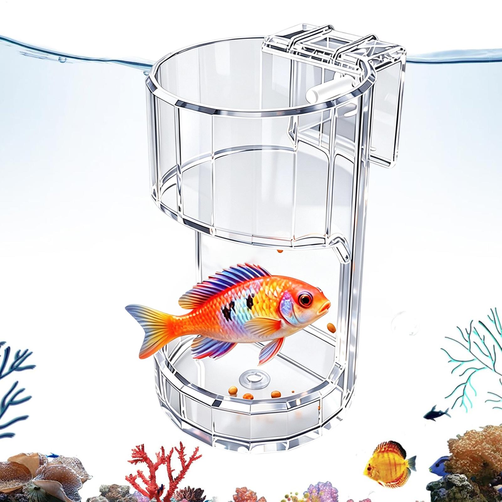 Aquarium Fish Holiday Food - Prato de Alimentação para Aquário Transparente,