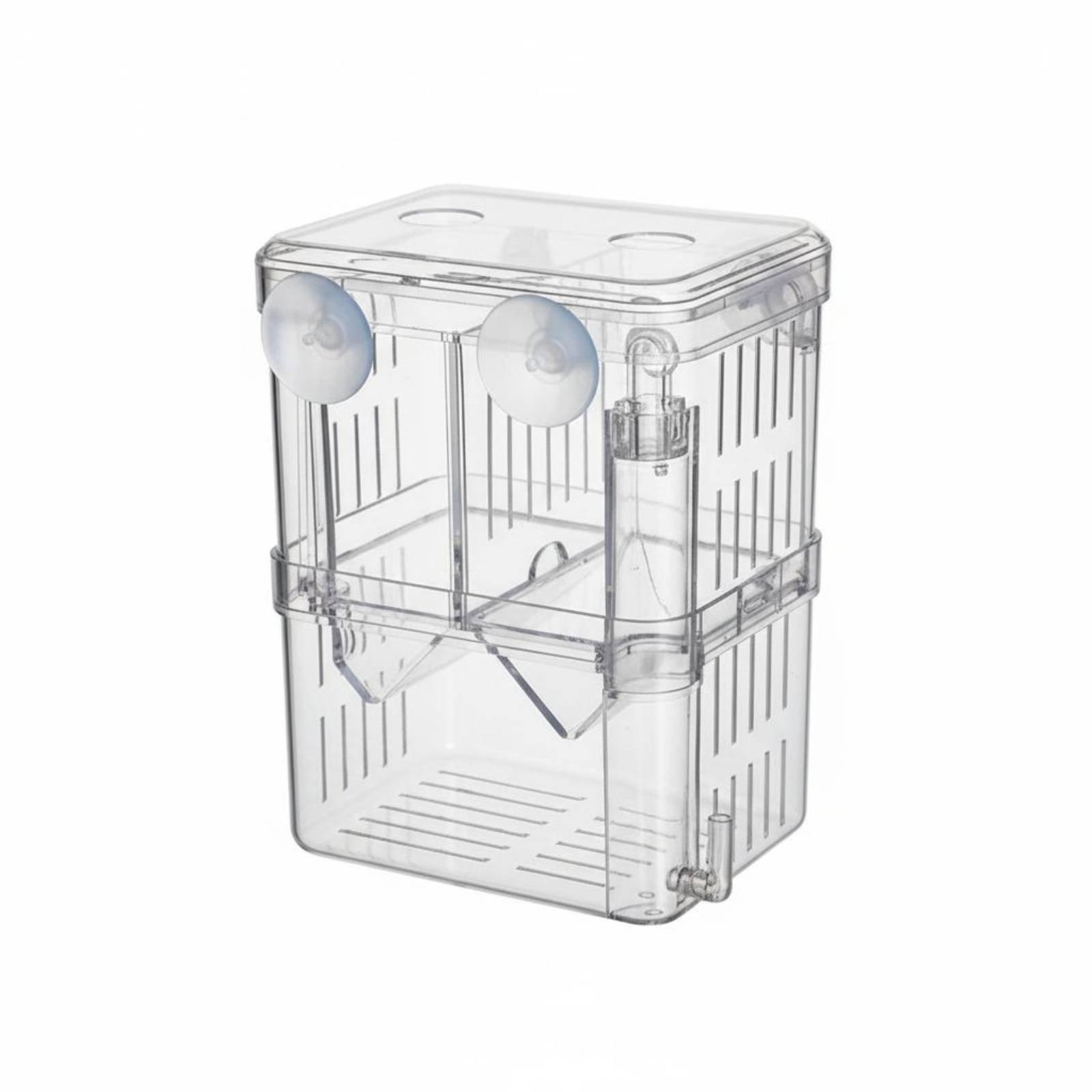 Box Fish In Aquarium - Caixa de Criação Transparente de Camada