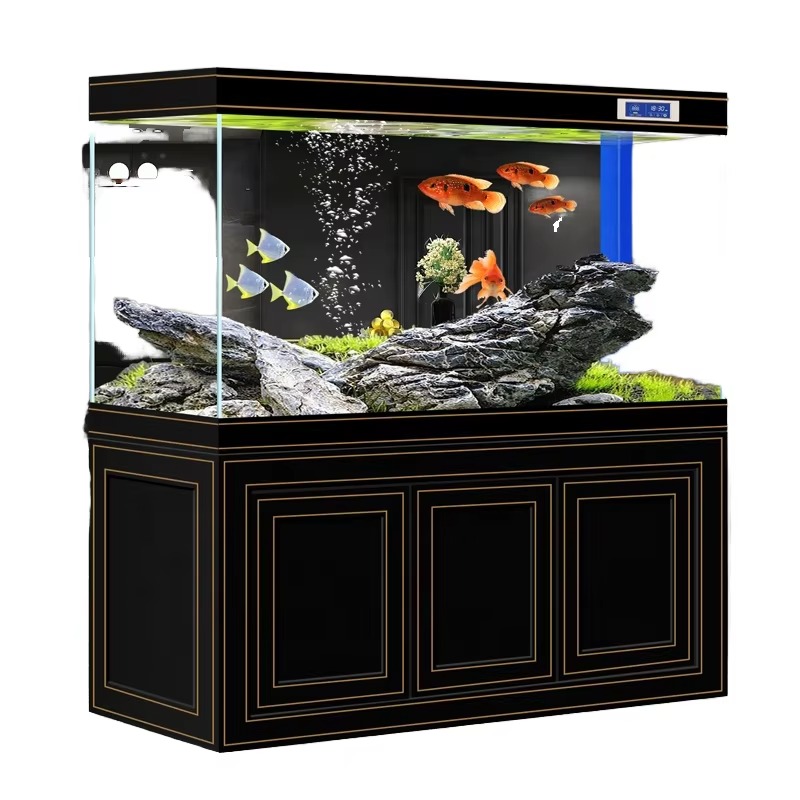Aquarium Fish Dragon - Aquário de Vidro Super Transparente para