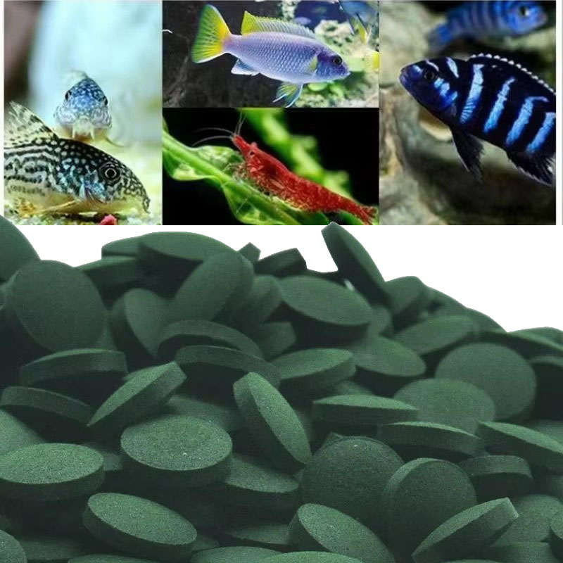 Aquarium Fish Holiday Food - 50/100/300/500 pçs comprimidos de spirulina espiral