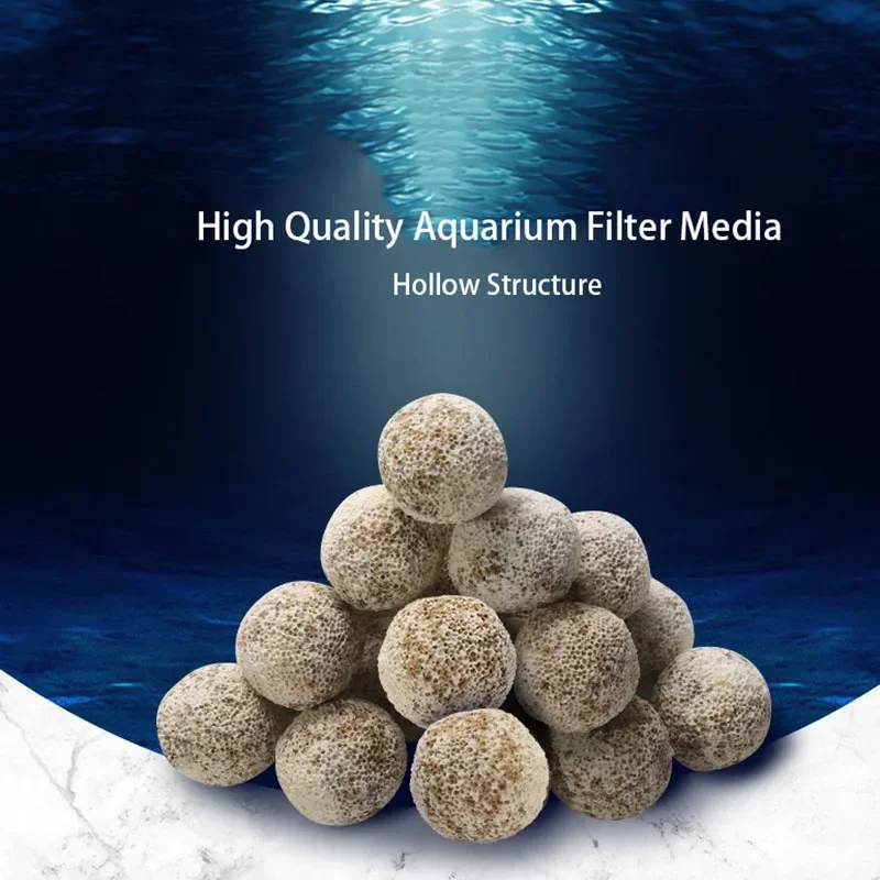 Aquarium Fish Quality - 10 pçs 20 pçs de alta