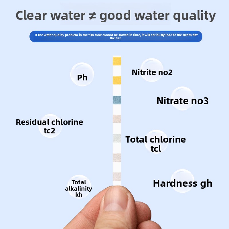 Tiras de Teste para Aquário PE - Aquarium Fish Quality avaliação e preço
