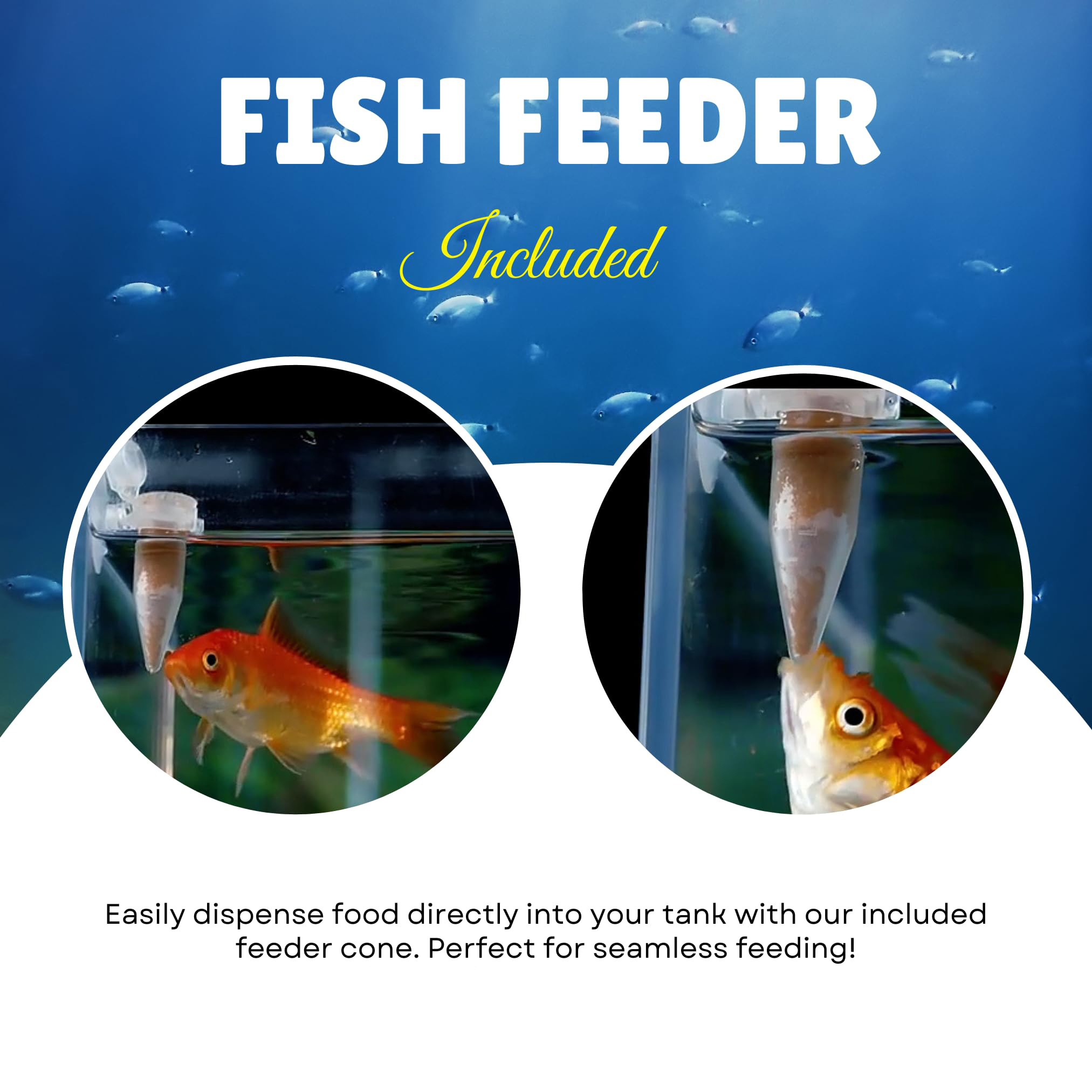 Conjunto Completo de Ovos de A - Aquarium Fish Holiday Food avaliação e preço