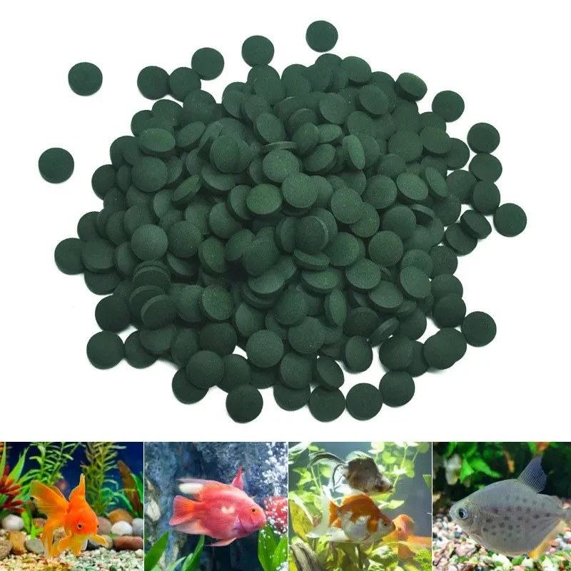 100-3000 unidades de comprimid - Aquarium Fish Holiday Food avaliação e preço