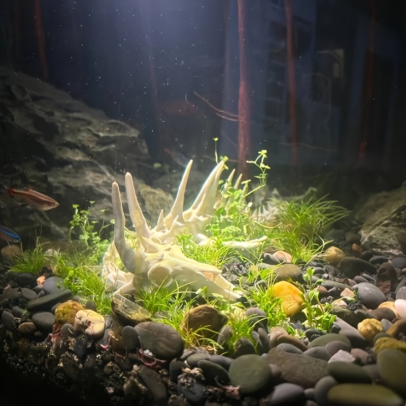 1 unidade de Decoração em Form - Aquarium Fish Dragon avaliação e preço