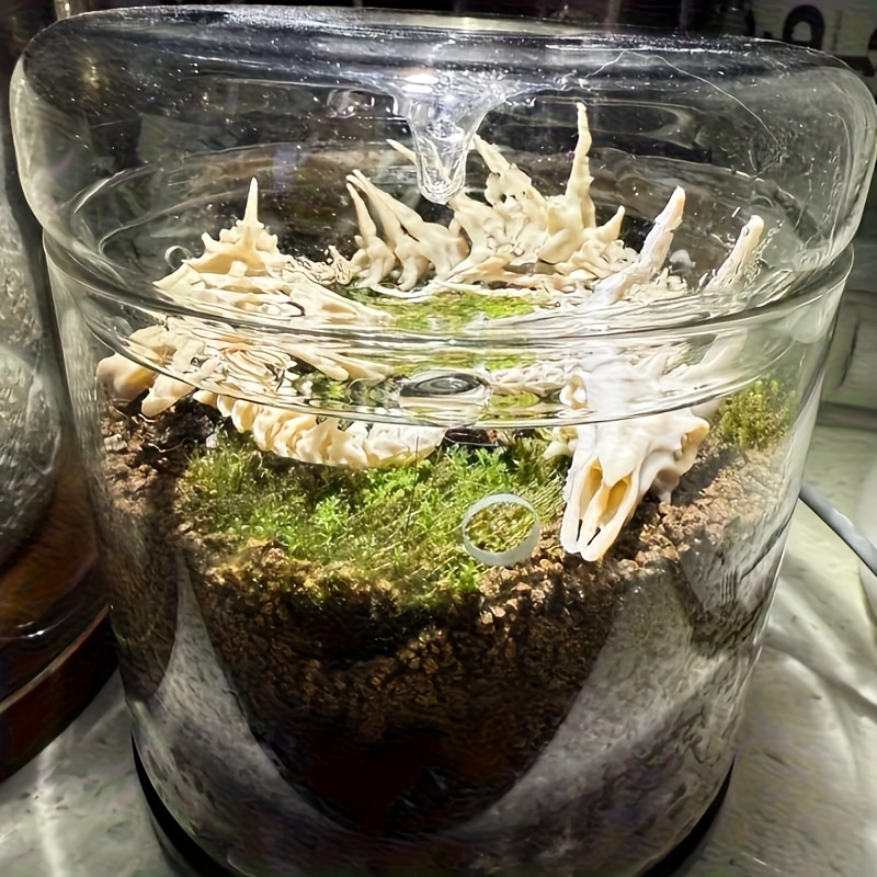 1 unidade de Decoração em Form - Aquarium Fish Dragon avaliação e preço