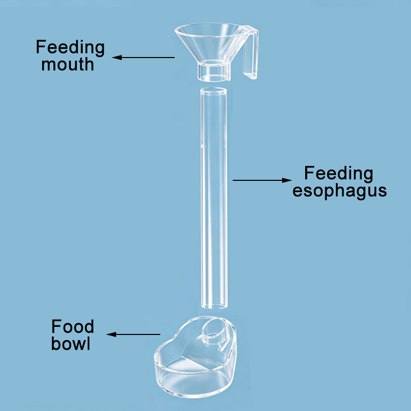 Alimentador de peixes para aqu - Aquarium Fish Holiday Food avaliação e preço