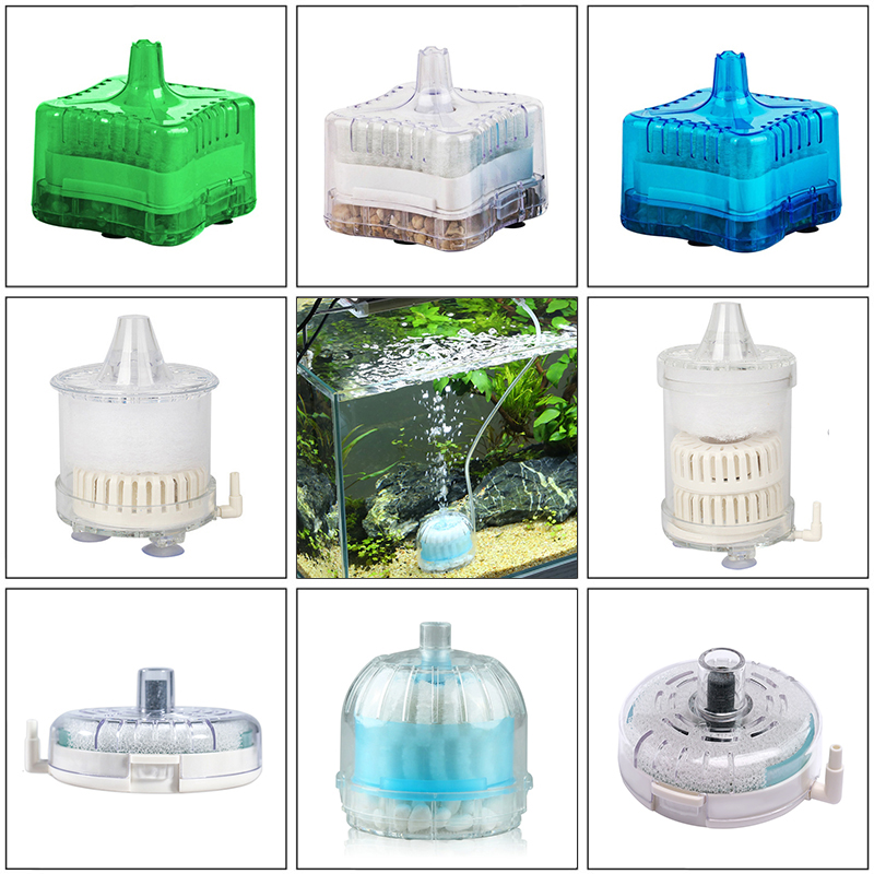 Mini Aquário Esponja Caixa Fil - Box Fish In Aquarium avaliação e preço