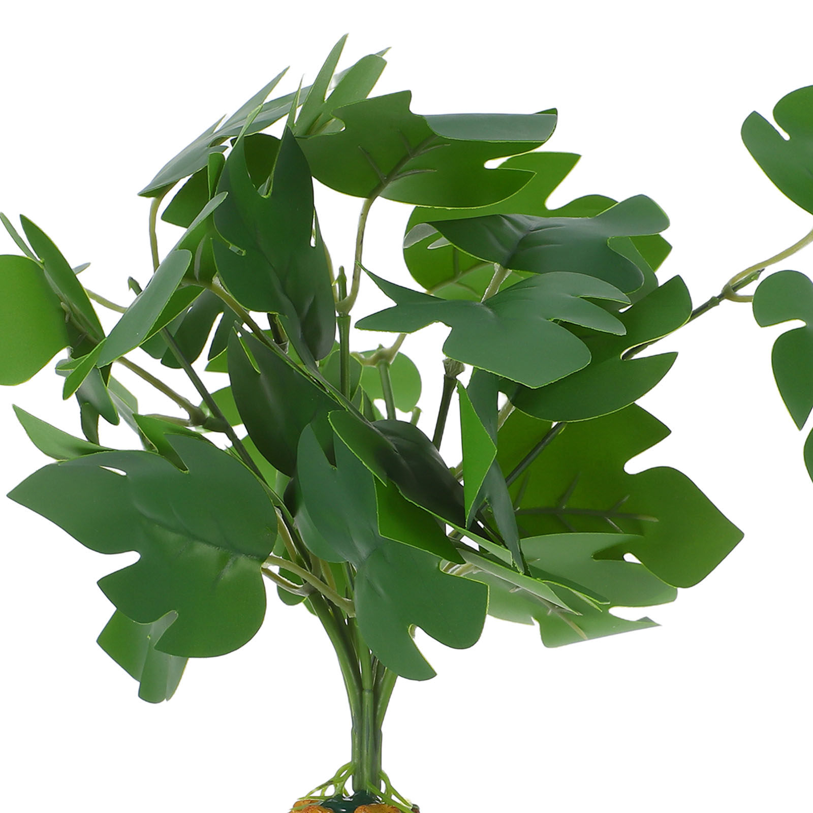 Plantas Artificiais Realistas  - Aquarium Fish Dragon avaliação e preço