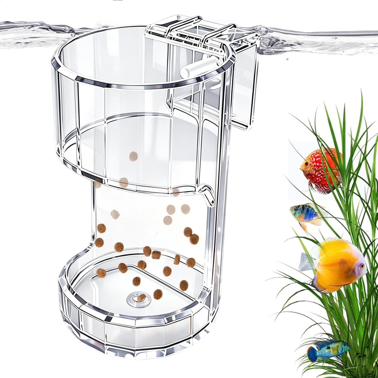 Prato de Alimentação para Aquá - Aquarium Fish Holiday Food avaliação e preço