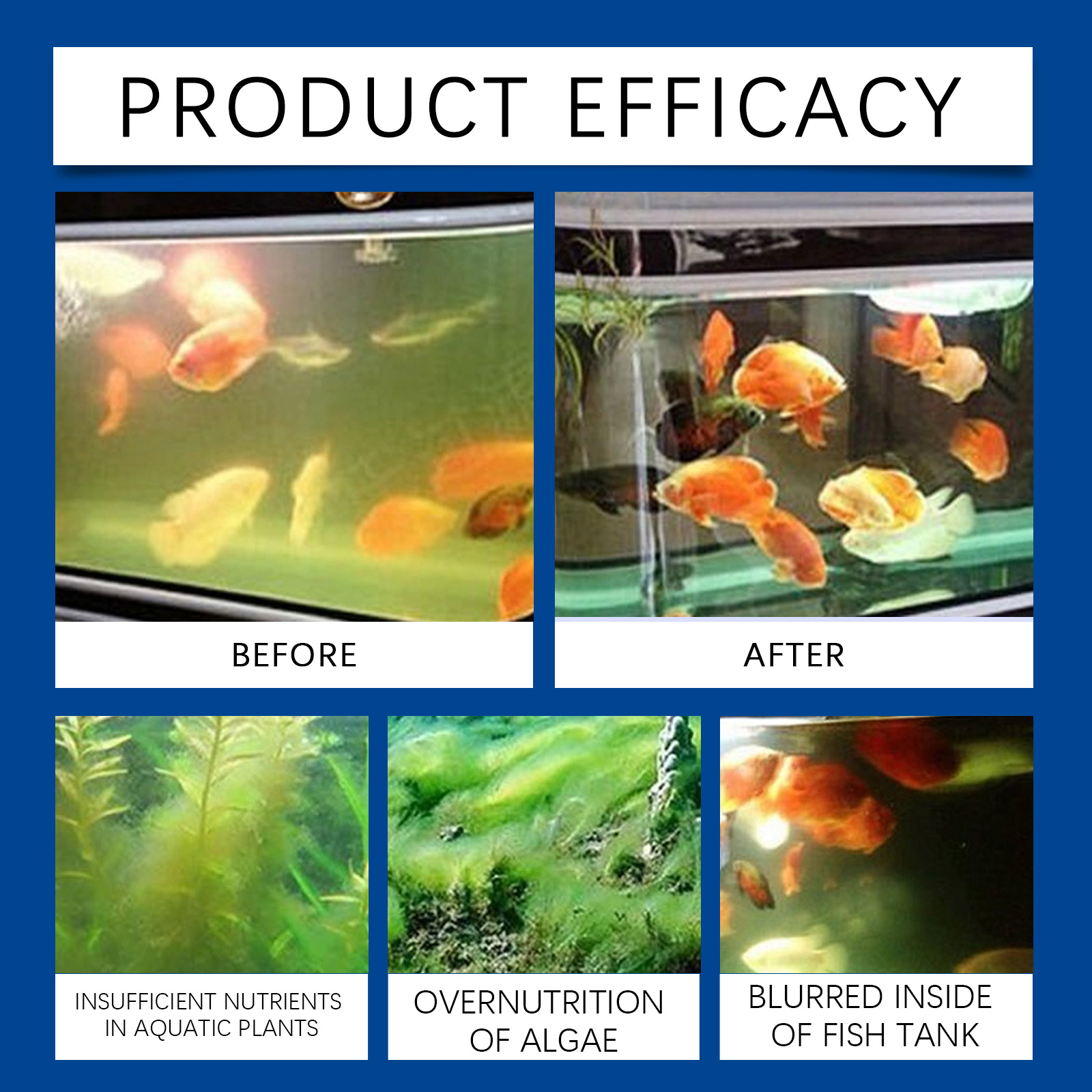 Clarificador de água para aquá - Aquarium Fish Quality avaliação e preço