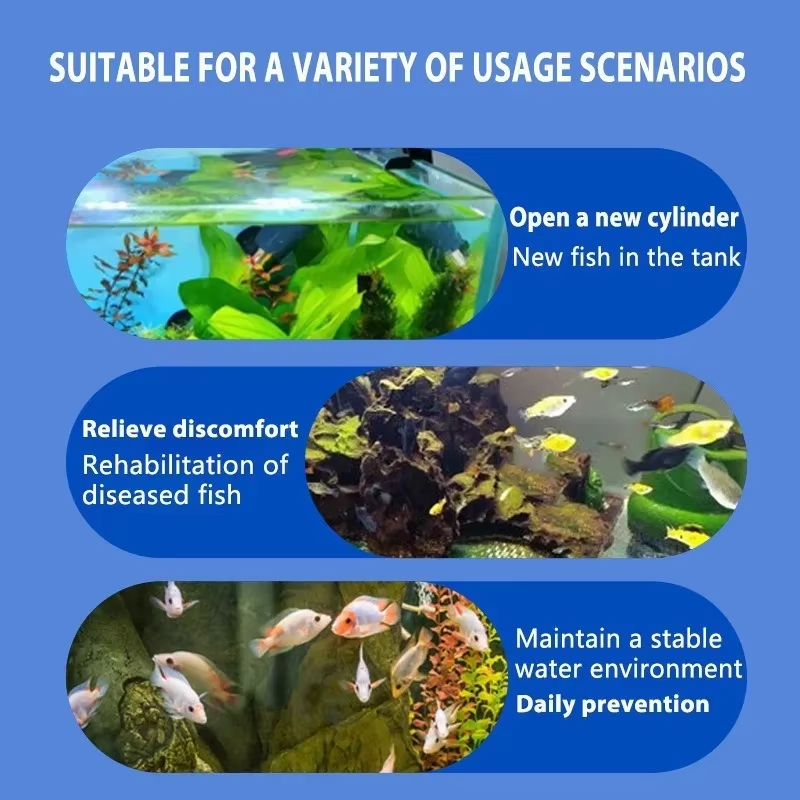 Tratamento de doenças de peixe - Aquarium Fish Quality avaliação e preço