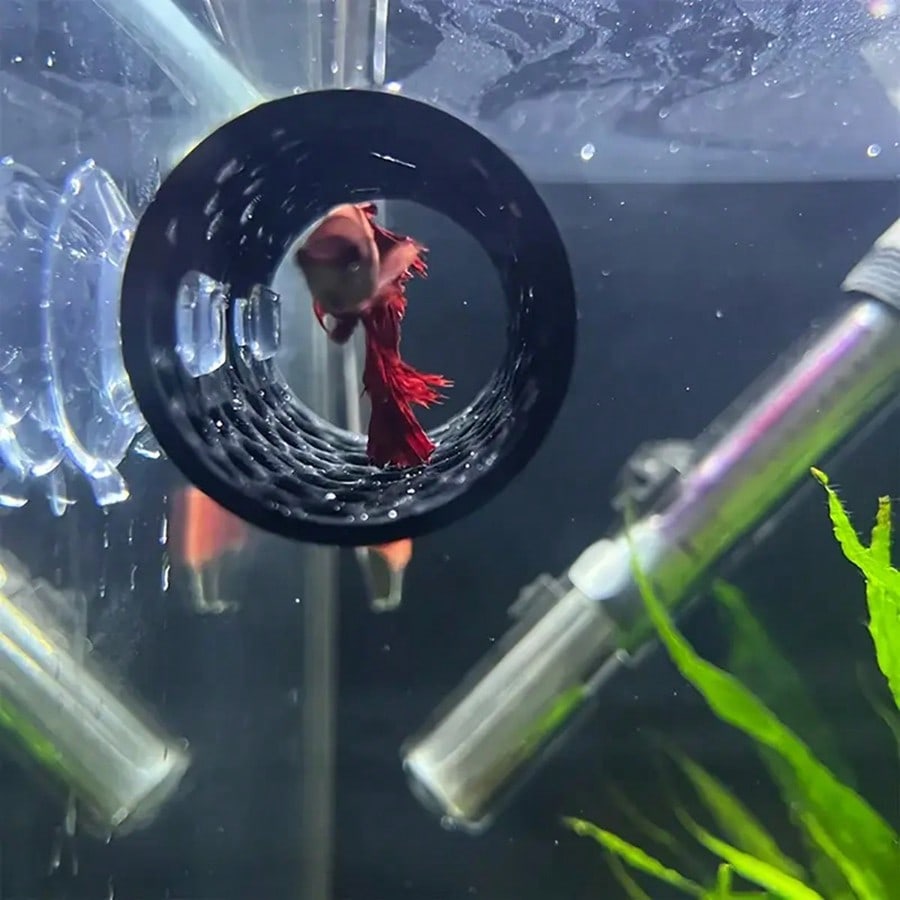 Esconderijo para Peixe Betta e - Aquarium Fish Hideout avaliação e preço