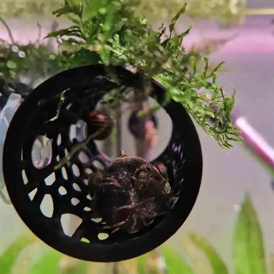 Esconderijo para Peixe Betta e - Aquarium Fish Hideout avaliação e preço