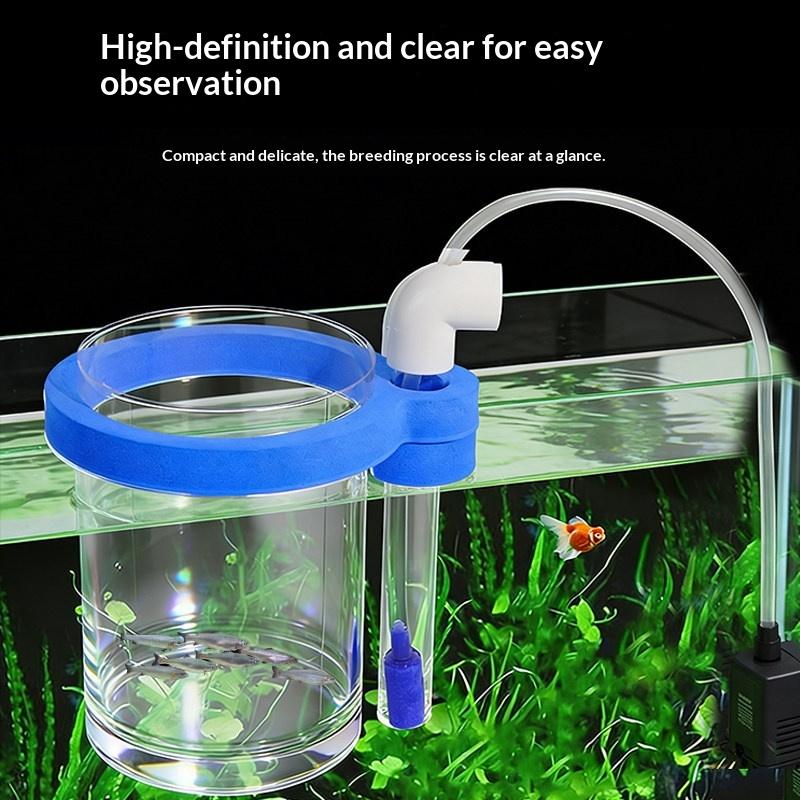 Caixa de Criação de Peixes em  - Box Fish In Aquarium avaliação e preço