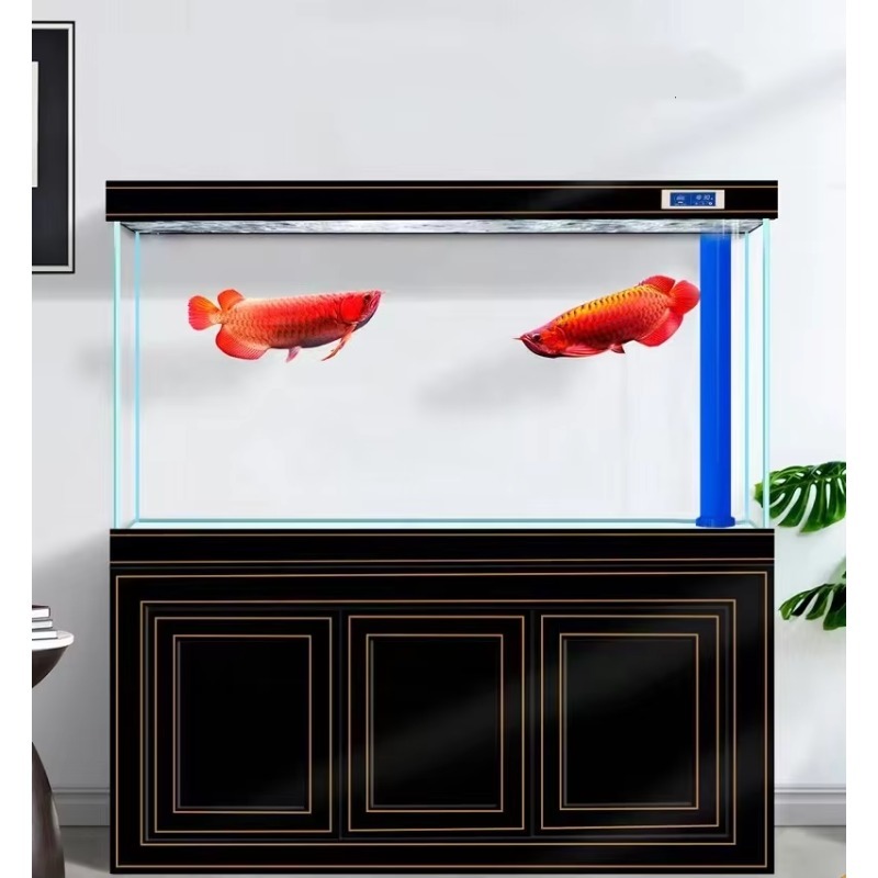 Aquário de Vidro Super Transpa - Aquarium Fish Dragon avaliação e preço