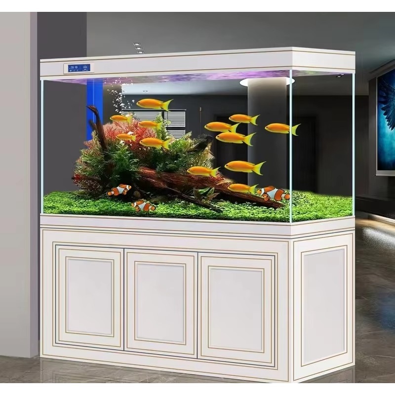 Aquário de Vidro Super Transpa - Aquarium Fish Dragon avaliação e preço