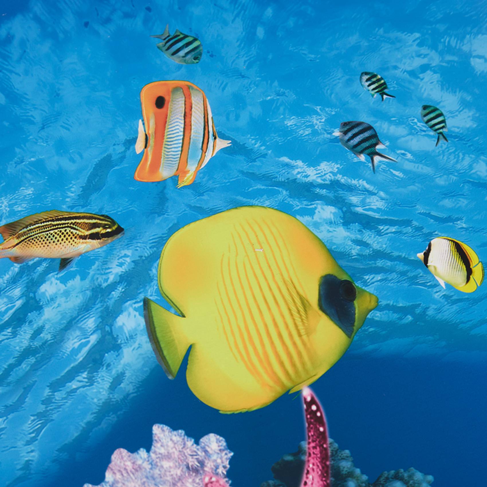 BAAU Papel de fundo de aquário - Aquarium Fish Wallpaper Hd avaliação e preço