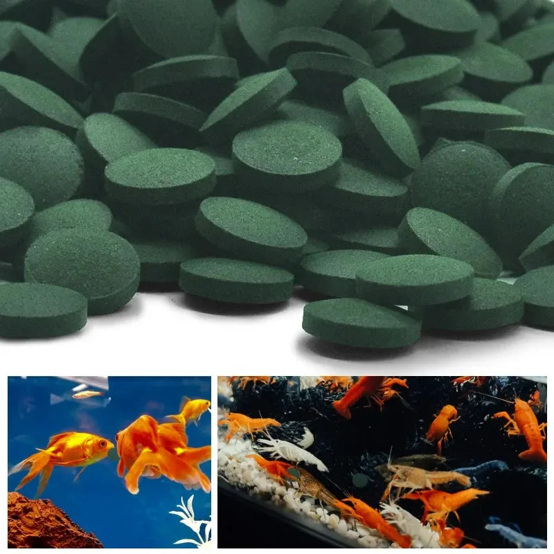 50/100/300/500 pçs comprimidos - Aquarium Fish Holiday Food avaliação e preço