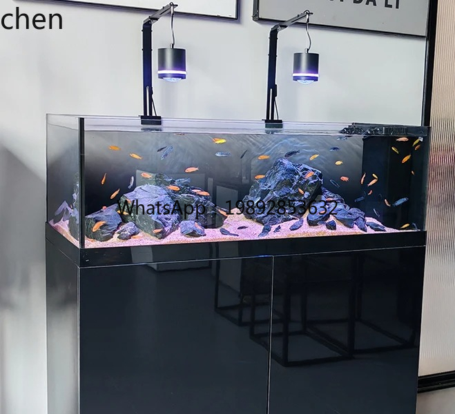 Tanque de fluxo nativo selvage - Wild Aquarium Fish avaliação e preço