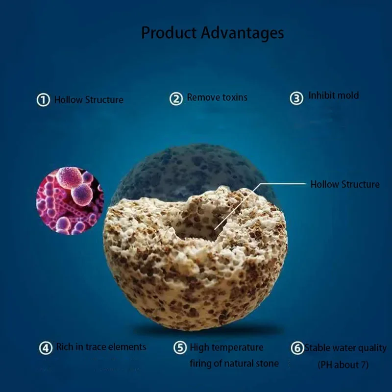 10 pçs 20 pçs de alta qualidad - Aquarium Fish Quality avaliação e preço