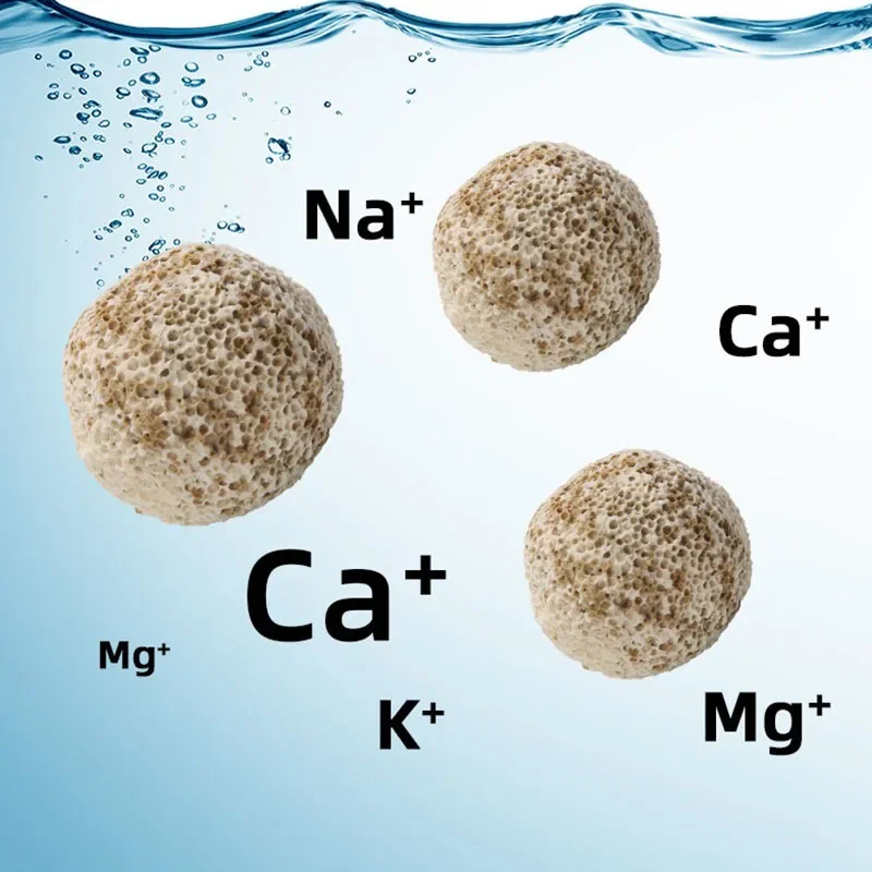 10 pçs 20 pçs de alta qualidad - Aquarium Fish Quality avaliação e preço