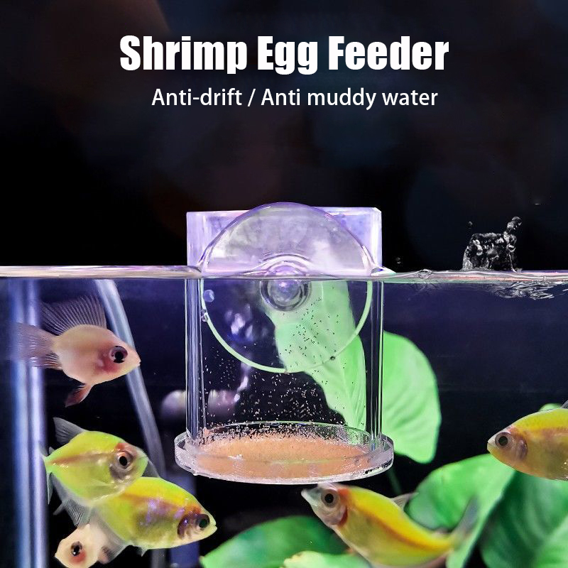 Copo de alimentação de peixes  - Aquarium Fish Holiday Food avaliação e preço