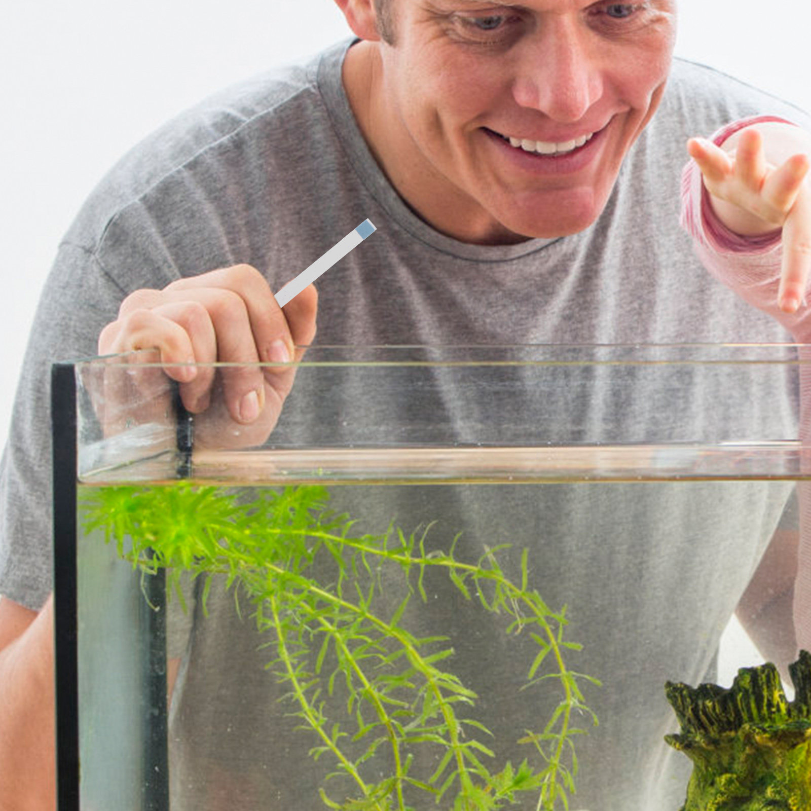 Tiras de Teste para Piscinas,  - Aquarium Fish Quality avaliação e preço