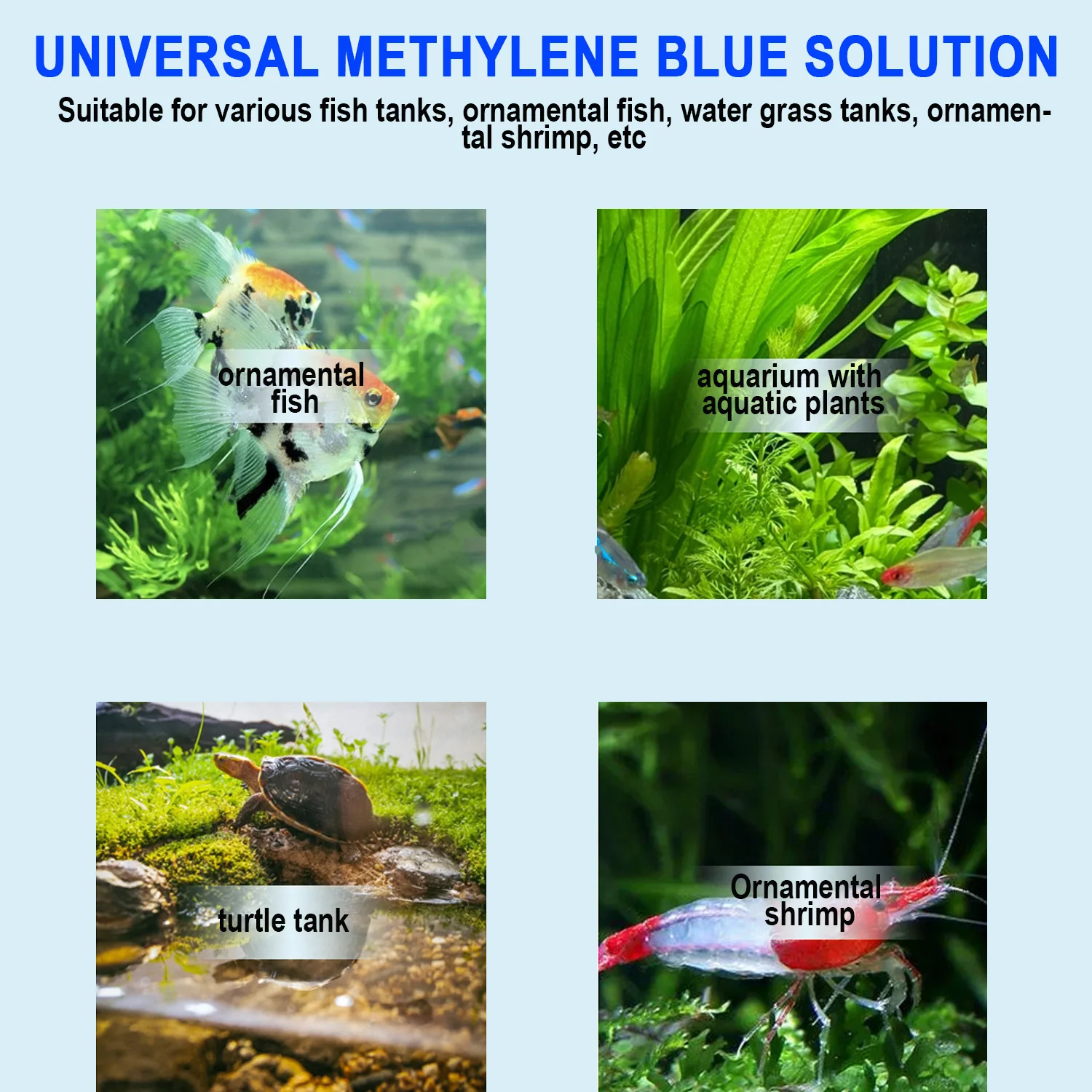 Aquário metileno azul peixe me - Aquarium Fish Parasites avaliação e preço