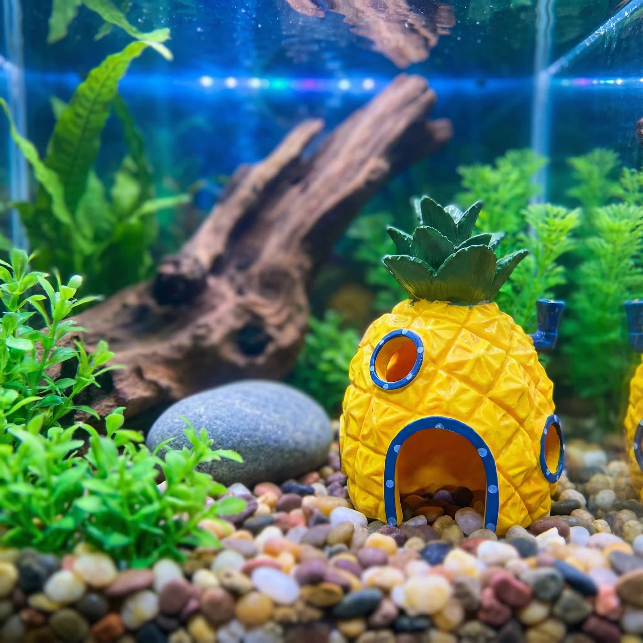 Decoração de Aquário Casa de A - Aquarium Fish Hideout avaliação e preço