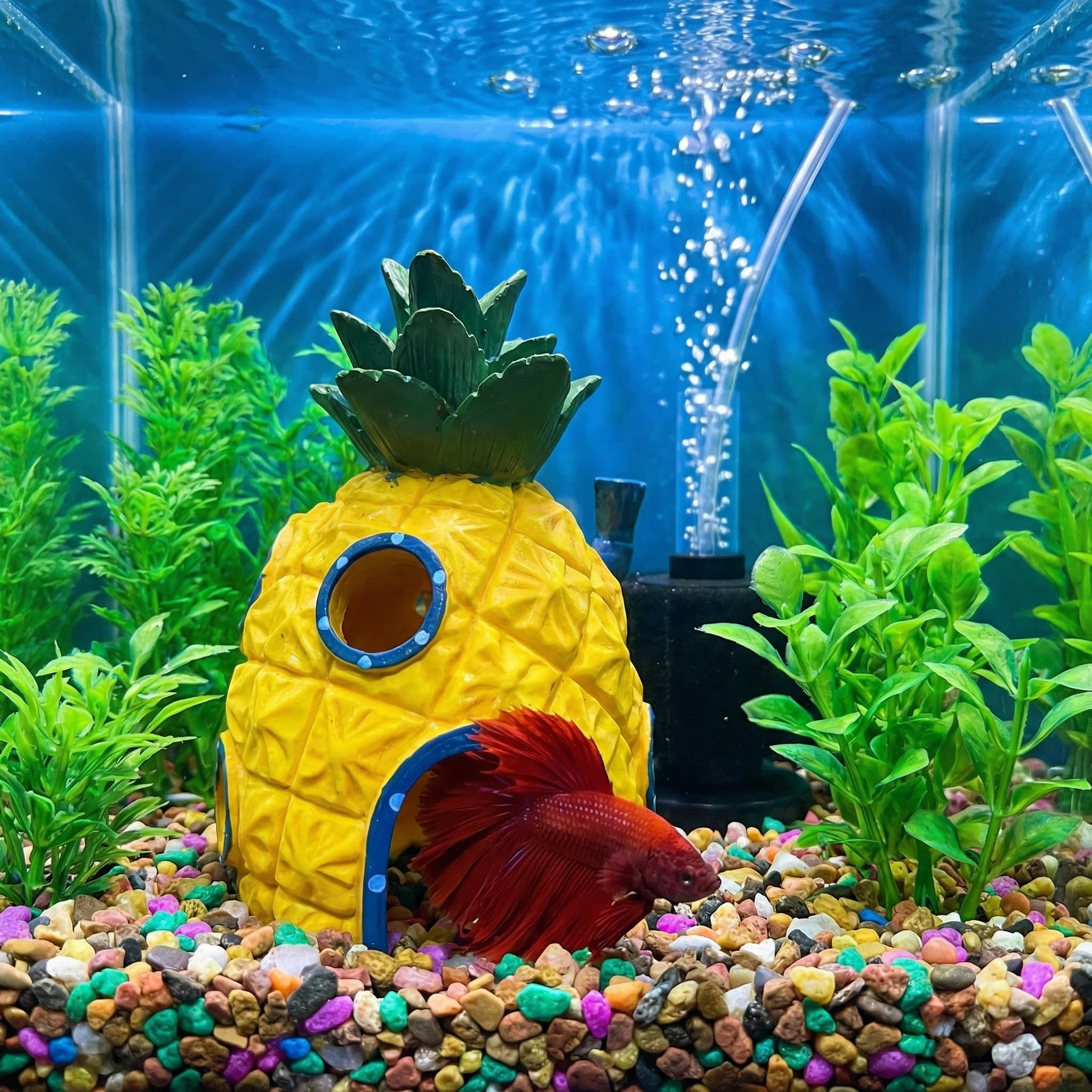 Decoração de Aquário Casa de A - Aquarium Fish Hideout avaliação e preço