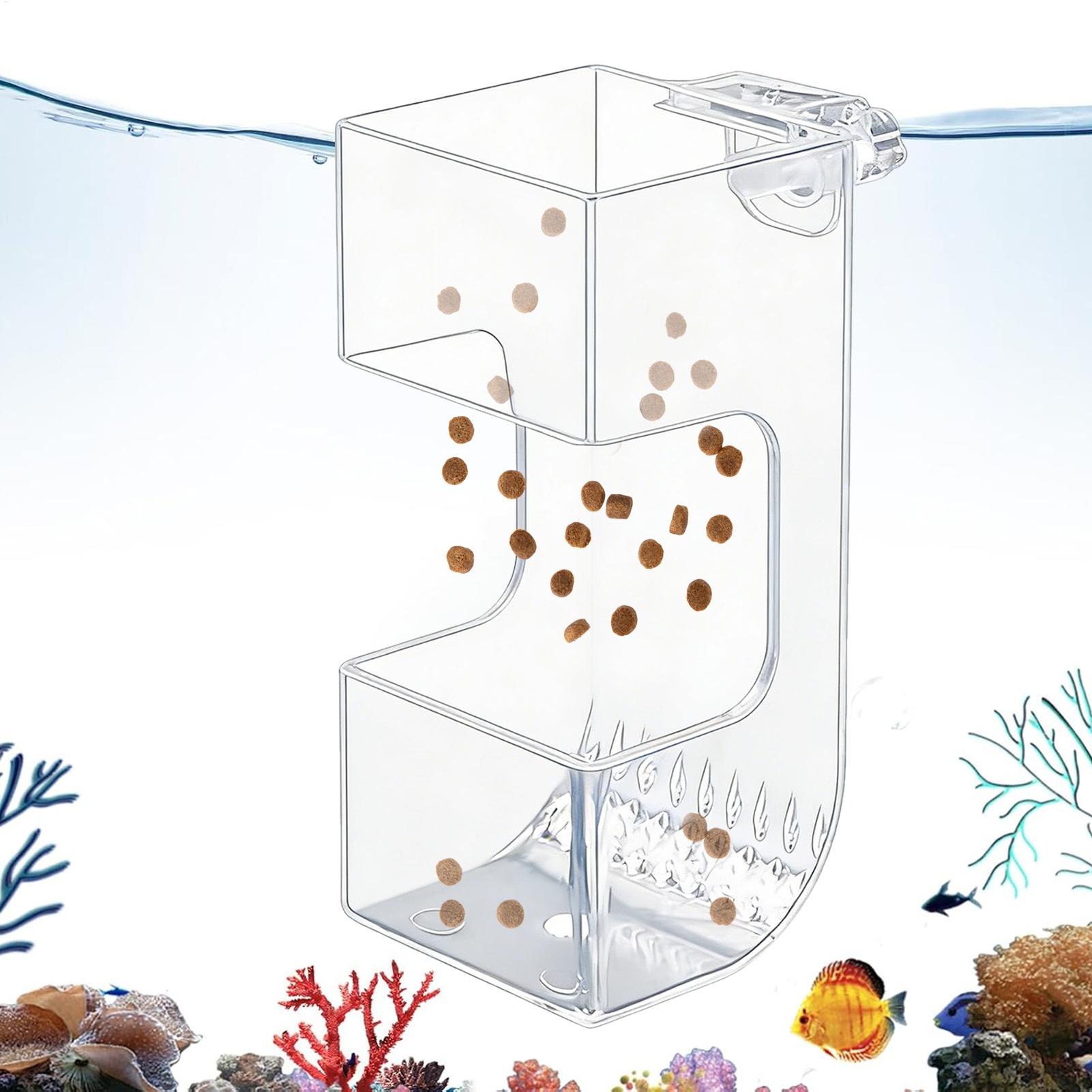 Comedouro Transparente para Pe - Aquarium Fish Holiday Food avaliação e preço