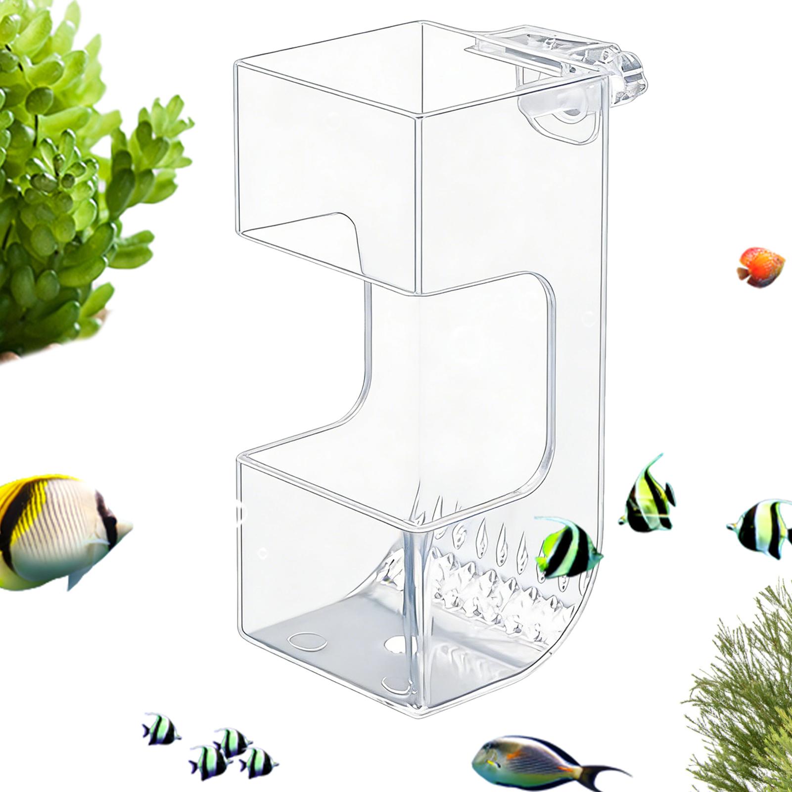 Comedouro Transparente para Pe - Aquarium Fish Holiday Food avaliação e preço