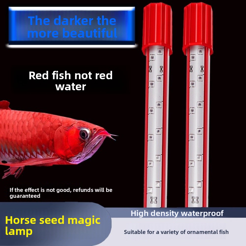 Luz de cor de cabelo três core - Aquarium Fish Dragon avaliação e preço