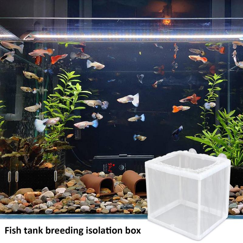 Peixe Criador Caixa Com Sucção - Aquarium Fish Net avaliação e preço