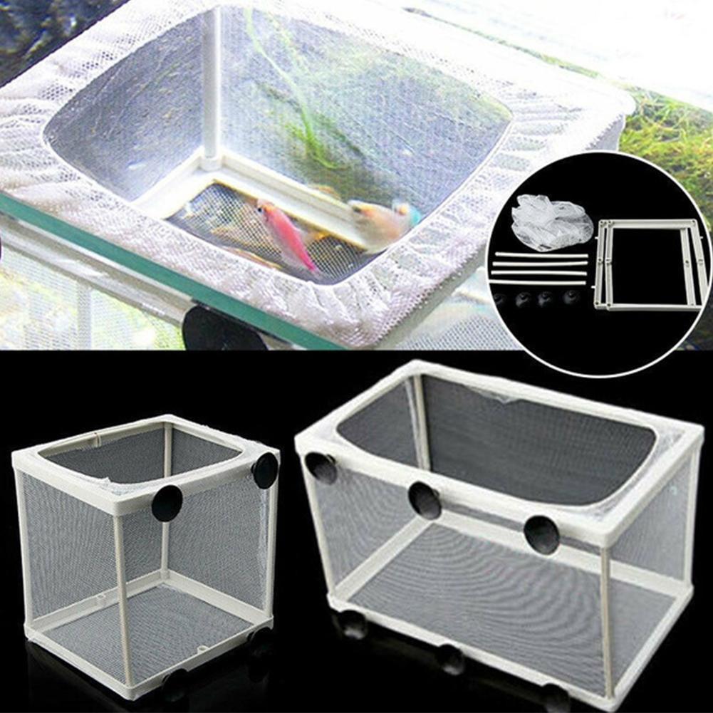 Caixa de isolamento de incubaç - Aquarium Fish Net avaliação e preço
