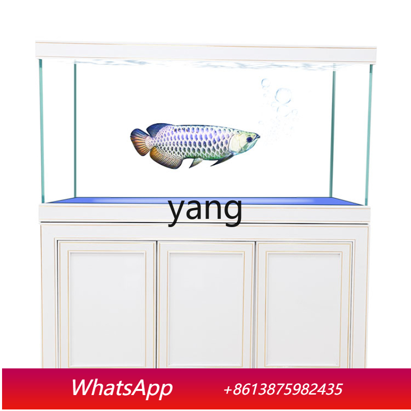Aquário Profissional de Luxo p - Aquarium Fish Dragon avaliação e preço