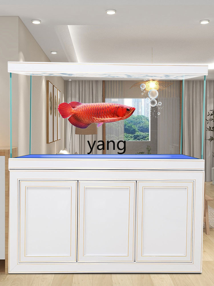Aquário Profissional de Luxo p - Aquarium Fish Dragon avaliação e preço