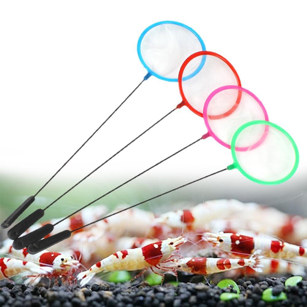 Redes coloridas para peixes de - Aquarium Fish Net avaliação e preço