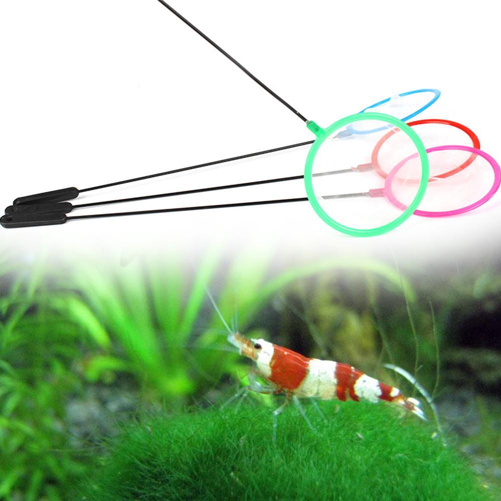Redes coloridas para peixes de - Aquarium Fish Net avaliação e preço