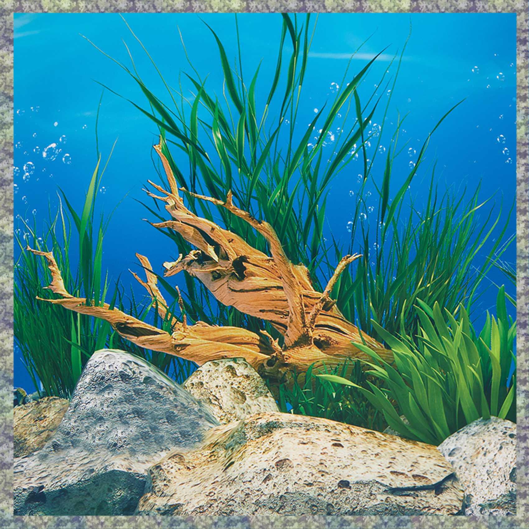 WON papel de fundo de aquário  - Aquarium Fish Wallpaper Hd avaliação e preço