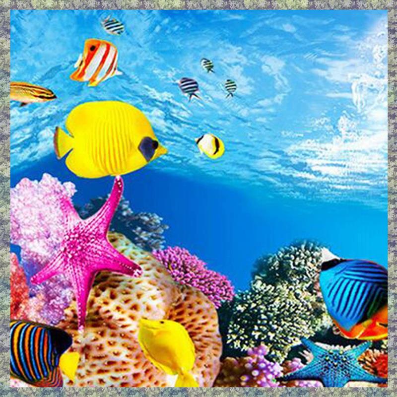 WON papel de fundo de aquário  - Aquarium Fish Wallpaper Hd avaliação e preço